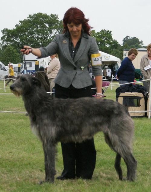 Ch. Marandike Ebony's Choice to Wolfscastle